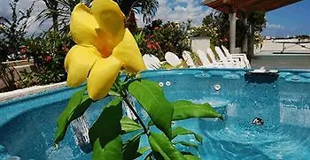 Hotel Maya Turquesa Playa del Carmen 3*,